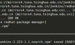 .Net Core 使用jenkins 部署到远程服务器docker