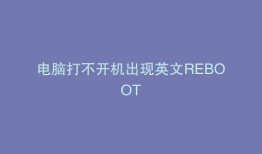 电脑打不开机出现英文REBOOT