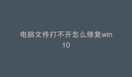电脑文件打不开怎么修复win10