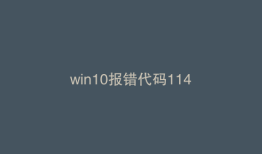 win10报错代码114