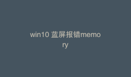 win10 蓝屏报错memory