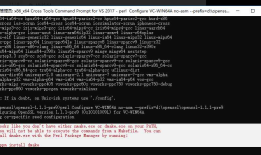 正确在win10上编译openssl x64并且运行