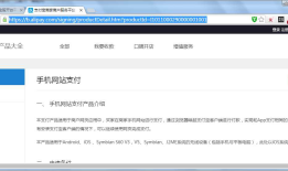 支付宝手机网站支付开发指引