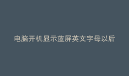 电脑开机显示蓝屏英文字母以后英文字母
