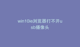 win10ie浏览器打不开usb摄像头