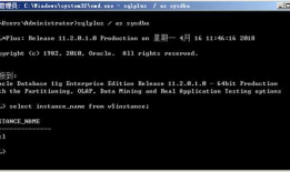 【ORACLE】Win2008R2修改oracle数据库实例名
