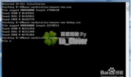 解决VMware10虚拟机客户机操作系统无苹果MacOSX