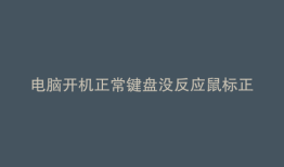 电脑开机正常键盘没反应鼠标正常
