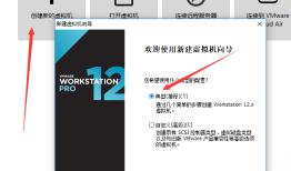 vmware安装androidx86 (FreeBSD) 系统图解