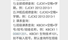 第三次作业：用户体验分析: 以 “南通大学教务管理系统微信公众号” 为例