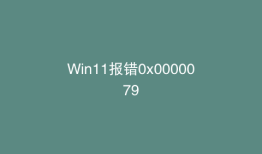 Win11报错0x0000079