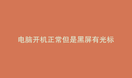 电脑开机正常但是黑屏有光标