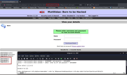 Ethical Hacking - Web Penetration Testing(9)