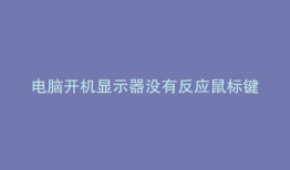 电脑开机显示器没有反应鼠标键盘不亮