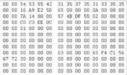 详解NetAppFAS3220数据恢复操作方法