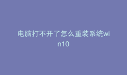 电脑打不开了怎么重装系统win10