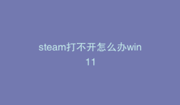 steam打不开怎么办win11
