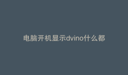 电脑开机显示dvino什么都