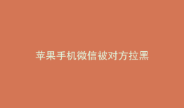 苹果手机微信被对方拉黑