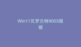 Win11瓦罗兰特9003报错