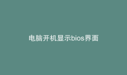 电脑开机显示bios界面