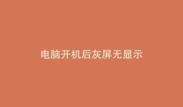 电脑开机后灰屏无显示