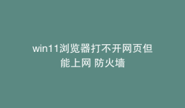 win11浏览器打不开网页但能上网 防火墙