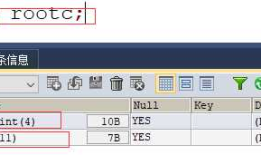 Mysql--数据类型