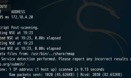 CTF--HTTP服务--路径遍历（拿到www-data用户权限）