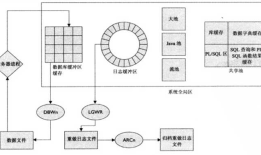 ORACLE学习二