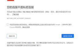树莓派/Debian Apache2 配置自建 CA 实现 HTTPS(SSL) 服务