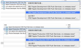IOS JPush 集成步骤(极光远程推送解决方案,支持android和iOS两个平台)