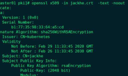 给你的Kubernetes集群建一个只读账户（防止高管。。。后）