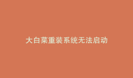 大白菜重装系统无法启动