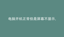 电脑开机正常但是屏幕不显示,显示器灯闪烁