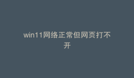 win11网络正常但网页打不开