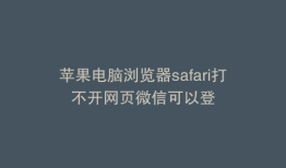 苹果电脑浏览器safari打不开网页微信可以登