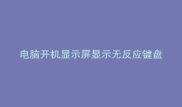 电脑开机显示屏显示无反应键盘灯不亮