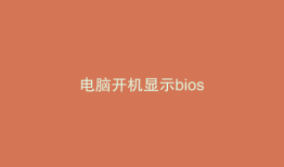 电脑开机显示bios
