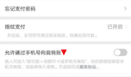 苹果iPhone微信怎么关闭自动续费功能