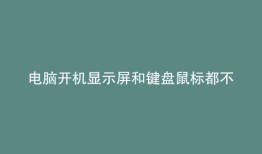 电脑开机显示屏和键盘鼠标都不亮