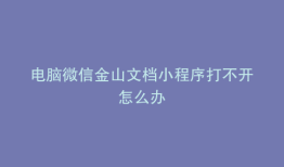 电脑微信金山文档小程序打不开怎么办