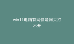 win11电脑有网但是网页打不开