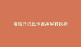 电脑开机显示器黑屏有鼠标