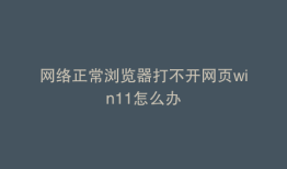 网络正常浏览器打不开网页win11怎么办