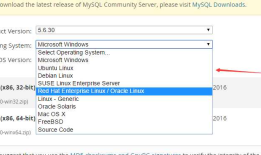 linux虚拟机中安装MySQL