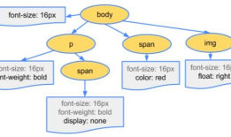 web前端入门到实战：布局之display属性