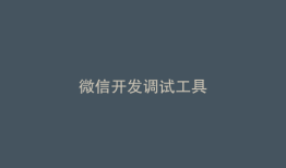 微信开发调试工具