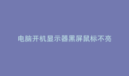 电脑开机显示器黑屏鼠标不亮