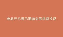 电脑开机显示器键盘鼠标都没反应